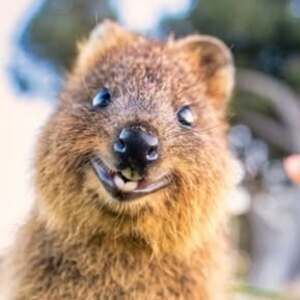 Meet your Posher, Rhonda